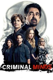 Criminal Minds Season 12 ทีมแกร่งเด็ดขั้วอาชญากรรม ปี 12 พากย์ไทย