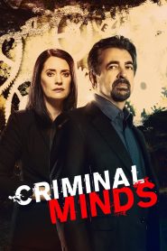 Criminal Minds Season 15 ทีมแกร่งเด็ดขั้วอาชญากรรม ปี 15 พากย์ไทย