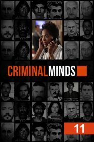 Criminal Minds Season 11 ทีมแกร่งเด็ดขั้วอาชญากรรม ปี 11 พากย์ไทย