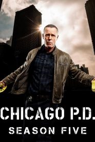 Chicago P.D. Season 5 หน่วยปราบท้ามัจจุราช ปี 5 ซับไทย