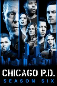 Chicago P.D. Season 6 หน่วยปราบท้ามัจจุราช ปี 6 ซับไทย