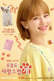 A Good Day to Be a Dog Season 1 ซับไทย