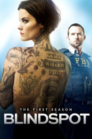 Blindspot Season 1 สาวรอยสัก กับดักมรณะ ปี 1 พากย์ไทย