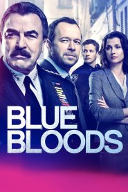 Blue Bloods Season 9 บลูบลัดส์ สายเลือดผู้พิทักษ์ ปี 9 ซับไทย