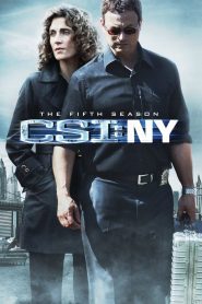 CSI NY Season 5 หน่วยเฉพาะกิจสืบศพระทึกนิวยอร์ก ปี 5 พากย์ไทย