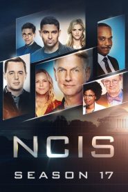 NCIS Season 17 เอ็นซีไอเอส: หน่วยสืบสวนคดีเดือด ปี 17 พากย์ไทย