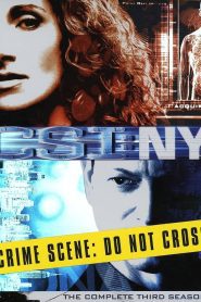 CSI NY Season 3 หน่วยเฉพาะกิจสืบศพระทึกนิวยอร์ก ปี 3 พากย์ไทย