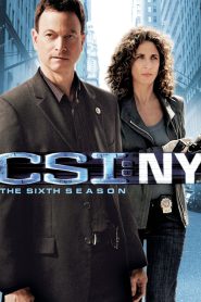 CSI NY Season 6 หน่วยเฉพาะกิจสืบศพระทึกนิวยอร์ก ปี 6 พากย์ไทย