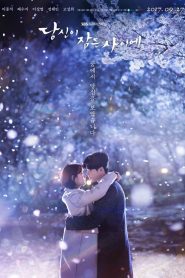 While You Were Sleeping Season 1 ลิขิตฝันฉันและเธอ ปี 1 พากย์ไทย/ซับไทย