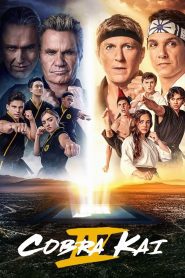 Cobra Kai Season 4 คอบร้า ไค ปี 4 ซับไทย