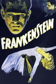 Frankenstein แฟรงเกนสไตน์ พากย์ไทย