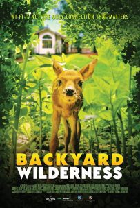 Backyard Wilderness ซับไทย