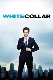 White Collar Season 4 อาชญากรสมองเพชร ปี 4 ซับไทย