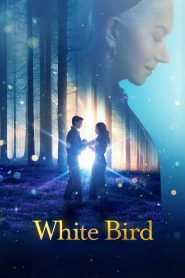 White Bird A wonder story ไวต์เบิร์ด หัวใจมหัศจรรย์ ซับไทย