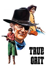 True Grit ยอดคนจริง ซับไทย