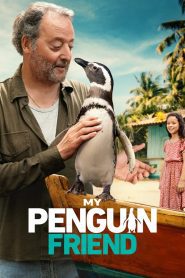 My Penguin Friend ซับไทย