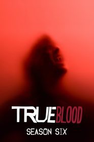 True Blood Season 6 ทรูบลัด แวมไพร์พันธุ์ใหม่ ปี 6 พากย์ไทย/ซับไทย