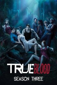 True Blood Season 3 ทรูบลัด แวมไพร์พันธุ์ใหม่ ปี 3 พากย์ไทย/ซับไทย