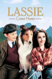 Lassie Come Home ซับไทย