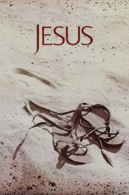 The Jesus Film พระเยซู พากย์ไทย