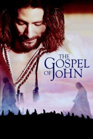 The Gospel of John พระกิตติคุณยอห์น พากย์ไทย