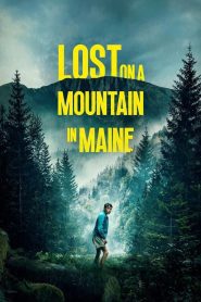 Lost on a Mountain in Maine ซับไทยแปล