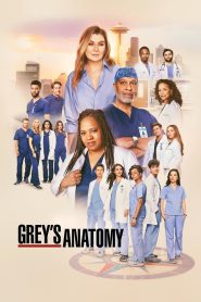 Grey s Anatomy แพทย์มือใหม่ หัวใจเกินร้อย ซับไทย