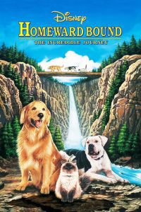 Homeward Bound: The Incredible Journey 2 หมา 1 แมว ใครจะพรากเราไม่ได้ พากย์ไทย