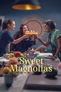 Sweet Magnolias Season 4 สวีท แมกโนเลีย หวาน กร้าว แกร่ง ปี 4 ซับไทย