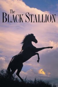 The Black Stallion อาชาเพื่อนยาก ซับไทย