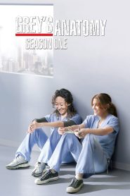 Grey s Anatomy Season 1 แพทย์มือใหม่ หัวใจเกินร้อย ปี 1 ซับไทย