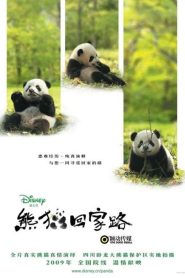 Trail of the Panda แพนด้าเพื่อนรัก พากย์ไทย