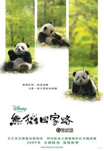 Trail of the Panda แพนด้าเพื่อนรัก พากย์ไทย