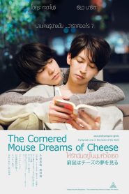 The Cornered Mouse Dreams of Cheeseให้รักฉันอยู่ในมุมหัวใจเธอ พากย์ไทย